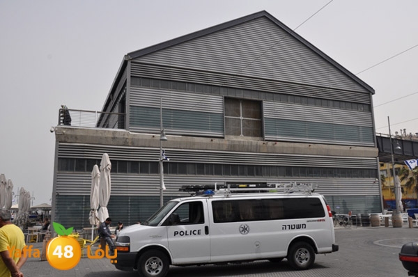 mina2yaffan51i (9).JPG